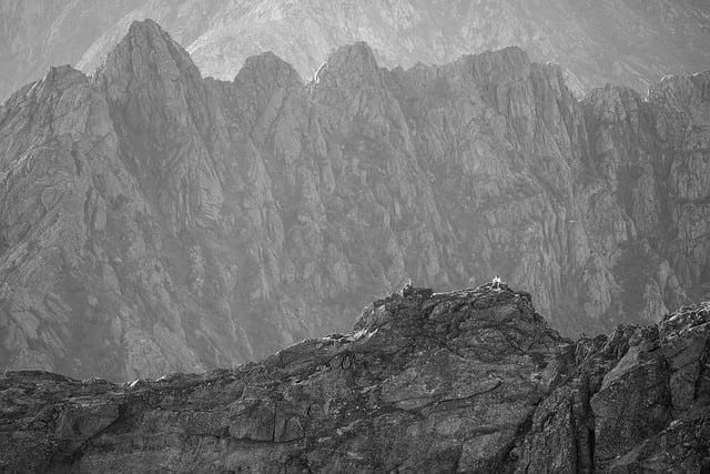 Mentorship Wilderness Trek